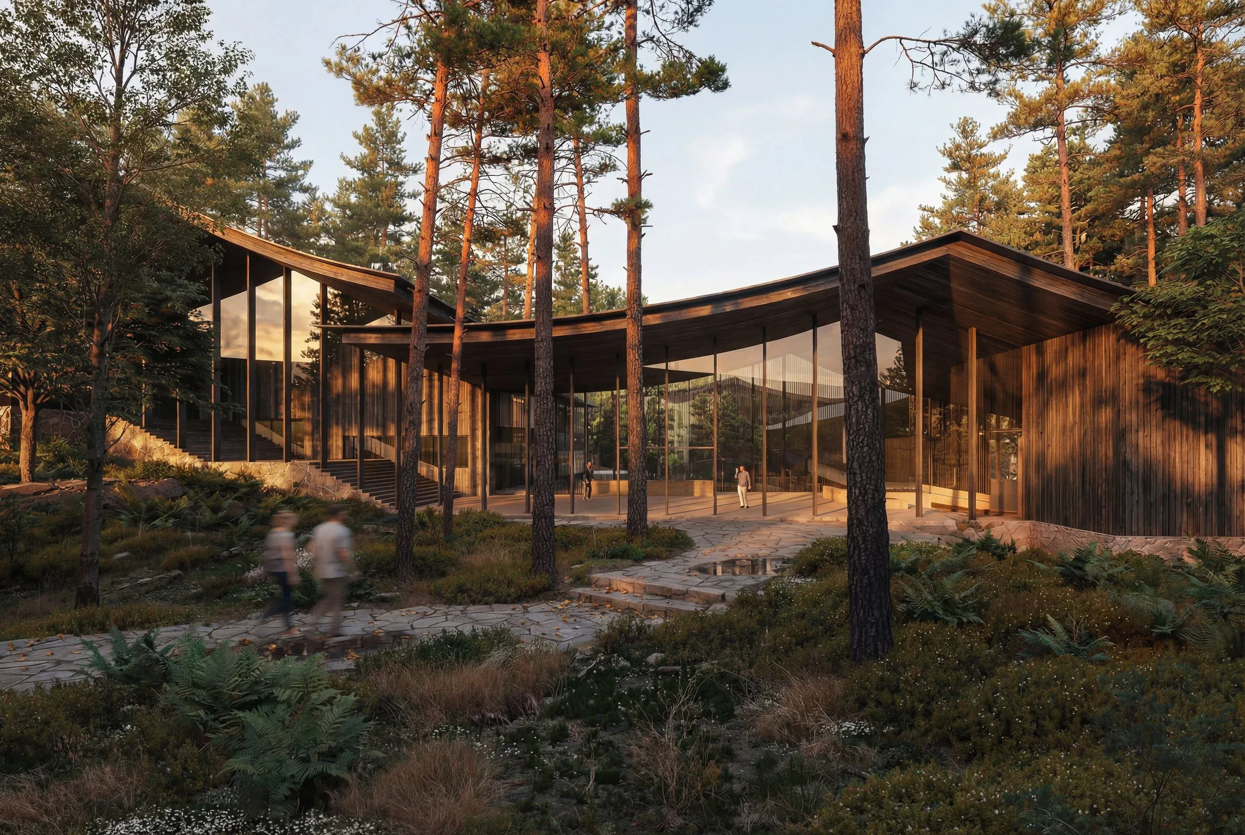 Under Curve — Lodge